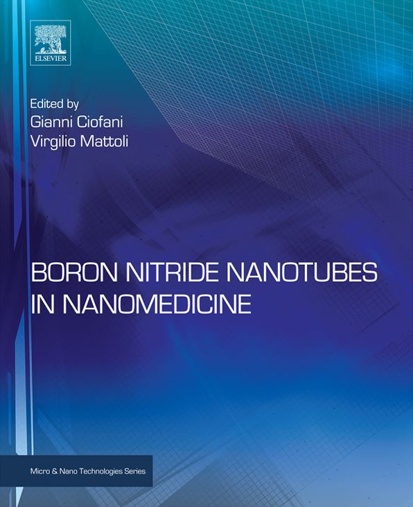 Boron Nitride Nanotubes in Nanomedicine