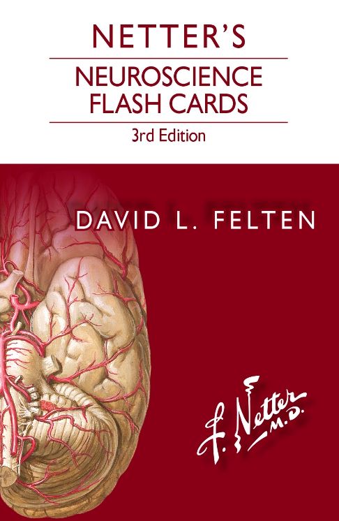 Netter's Neuroscience Flash Cards