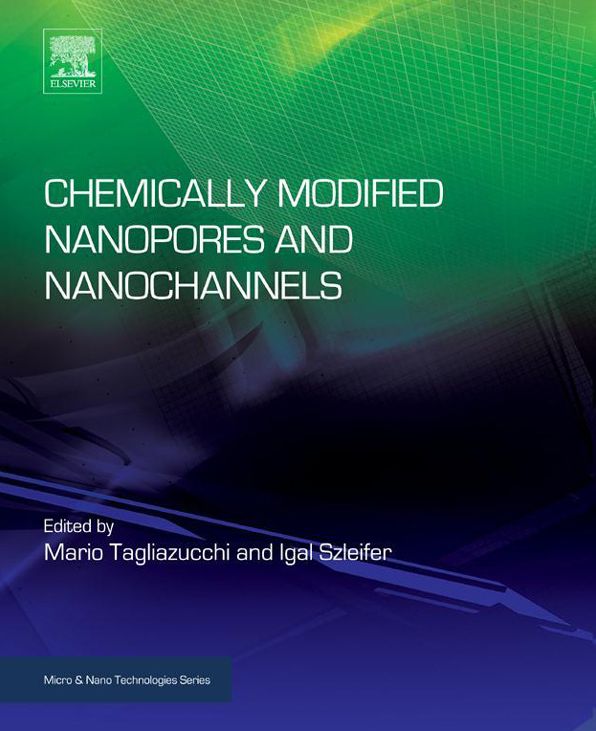 Chemically Modified Nanopores and Nanochannels