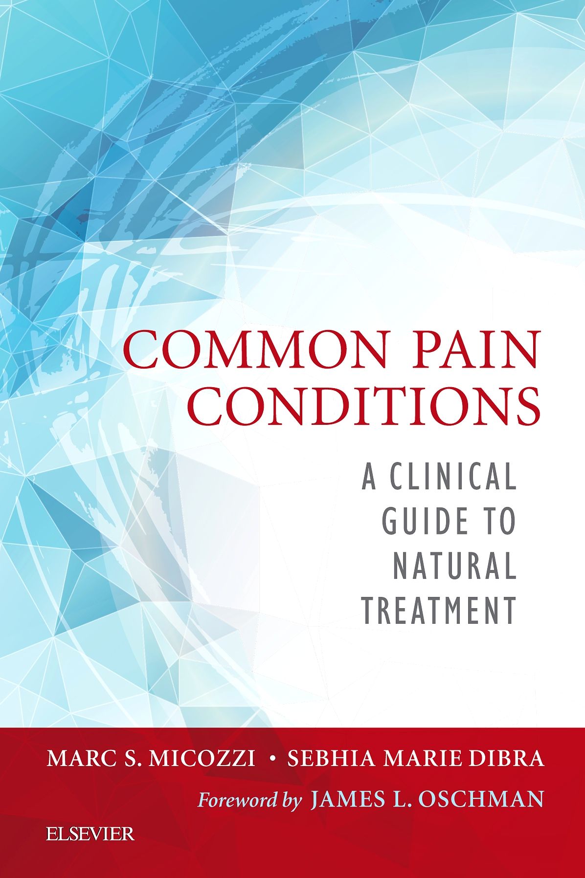 Common Pain Conditions - E-Book: A Clinical Guide to Natural Treatment