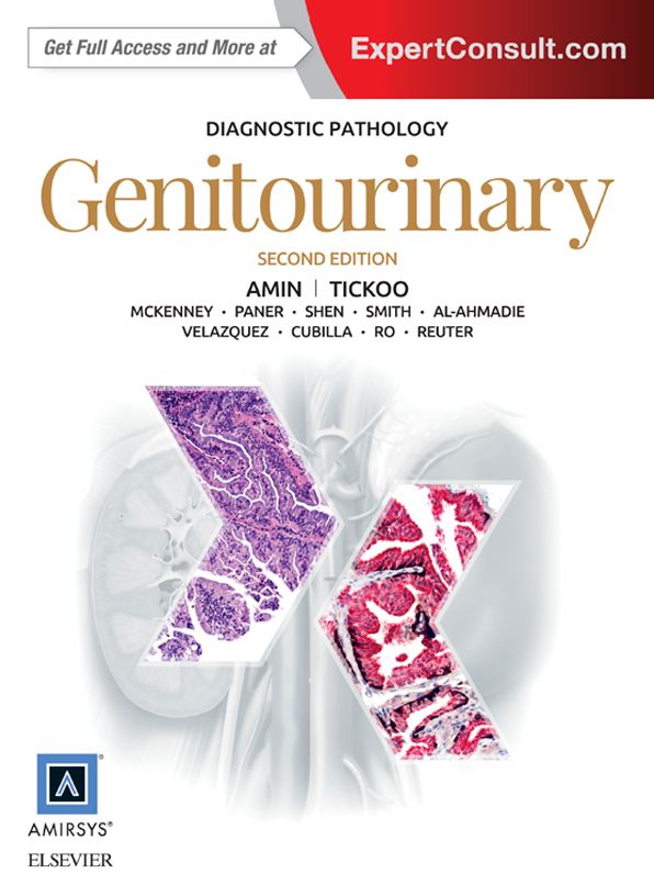 Diagnostic Pathology: Genitourinary E-Book