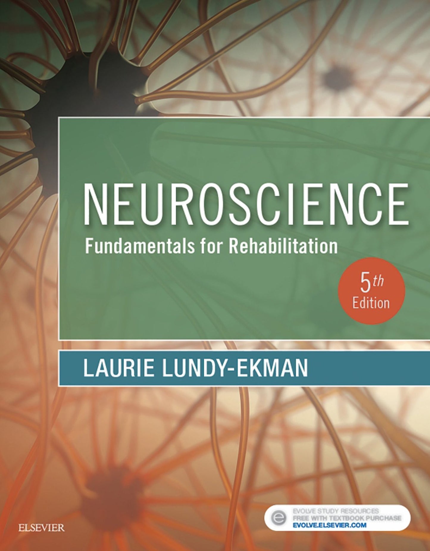 Neuroscience - E-Book: Fundamentals for Rehabilitation