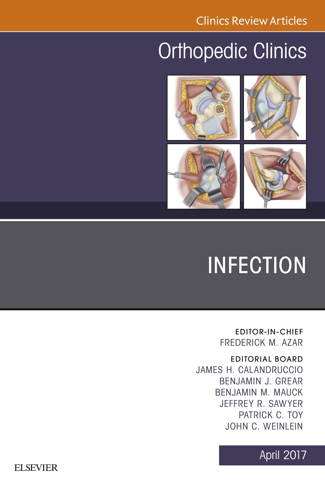 Infection, An Issue of Orthopedic Clinics, E-Book
