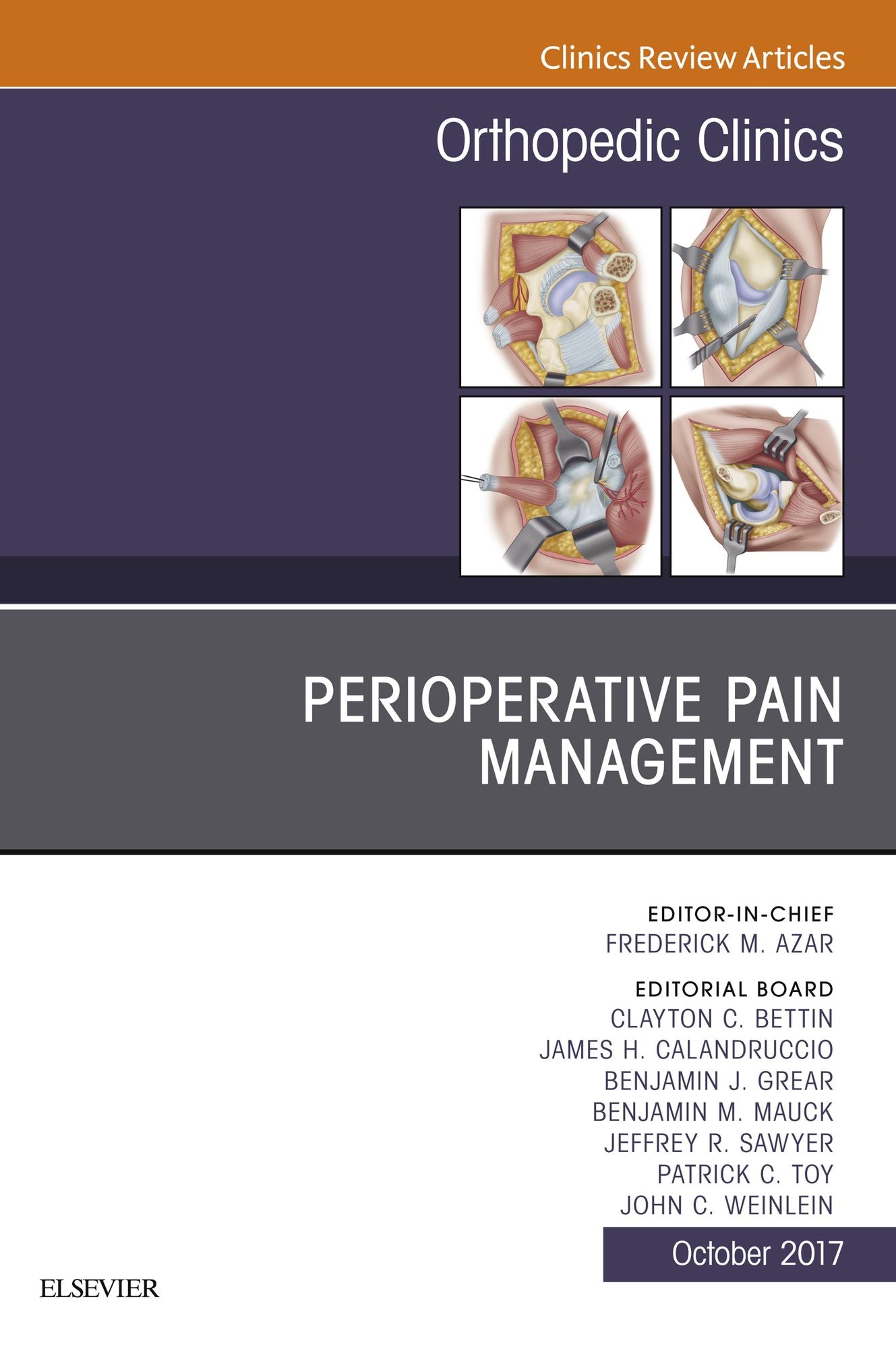 Perioperative Pain Management, An Issue of Orthopedic Clinics, E-Book