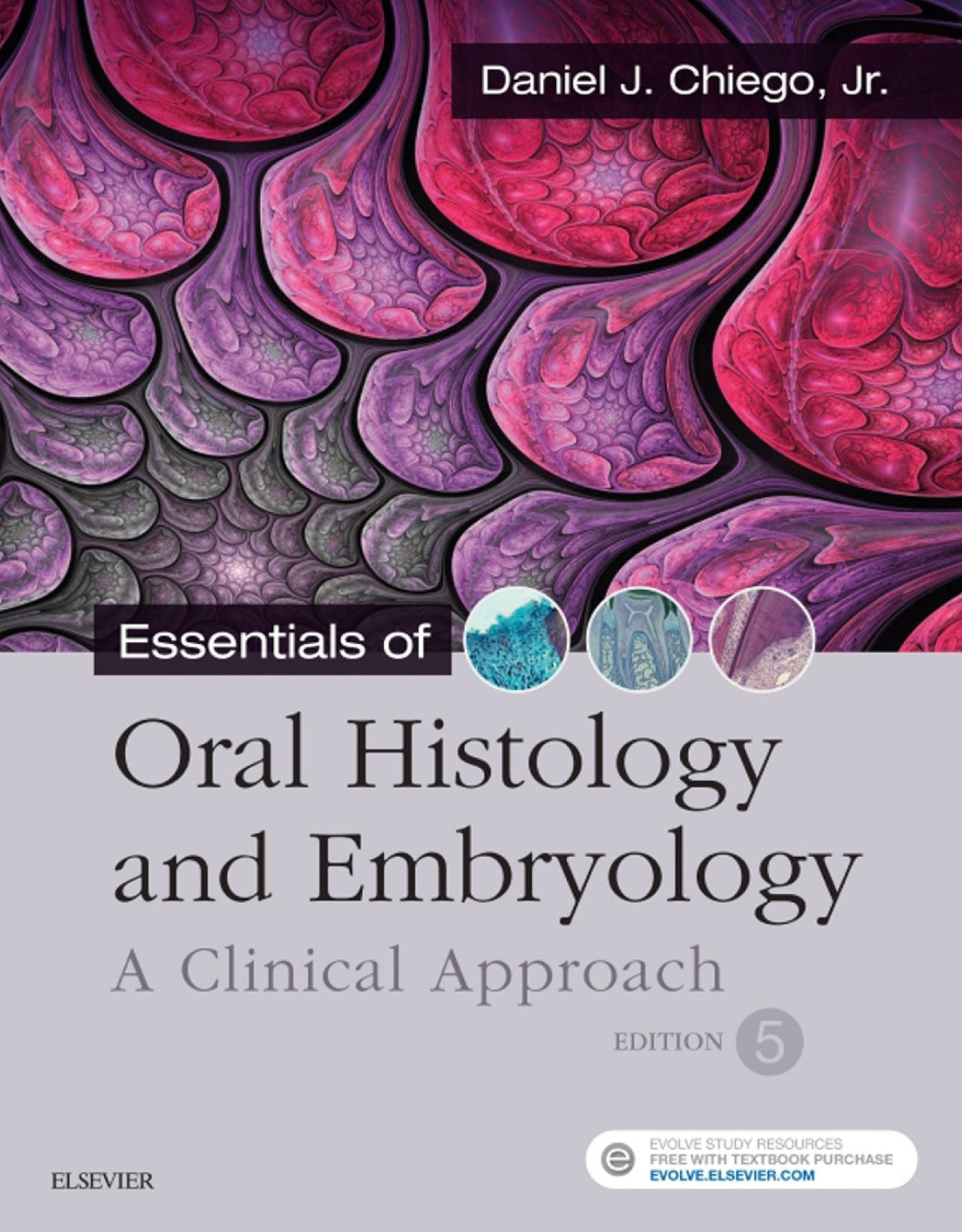 Essentials of Oral Histology and Embryology E-Book: A Clinical Approach