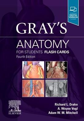 Gray's Anatomy for Students Flash Cards (New)