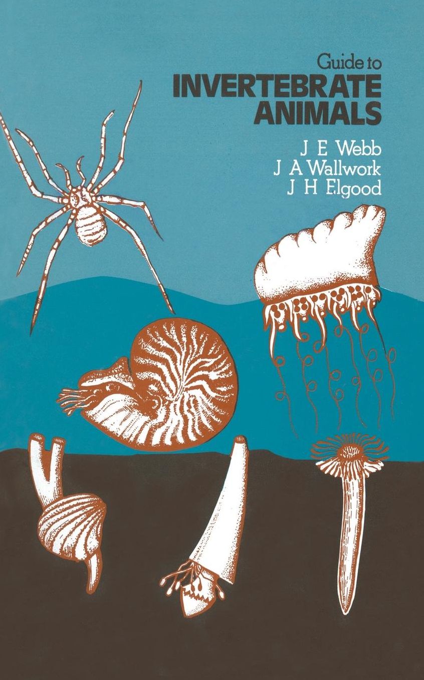 Guide to INVERTEBRATE ANIMALS
