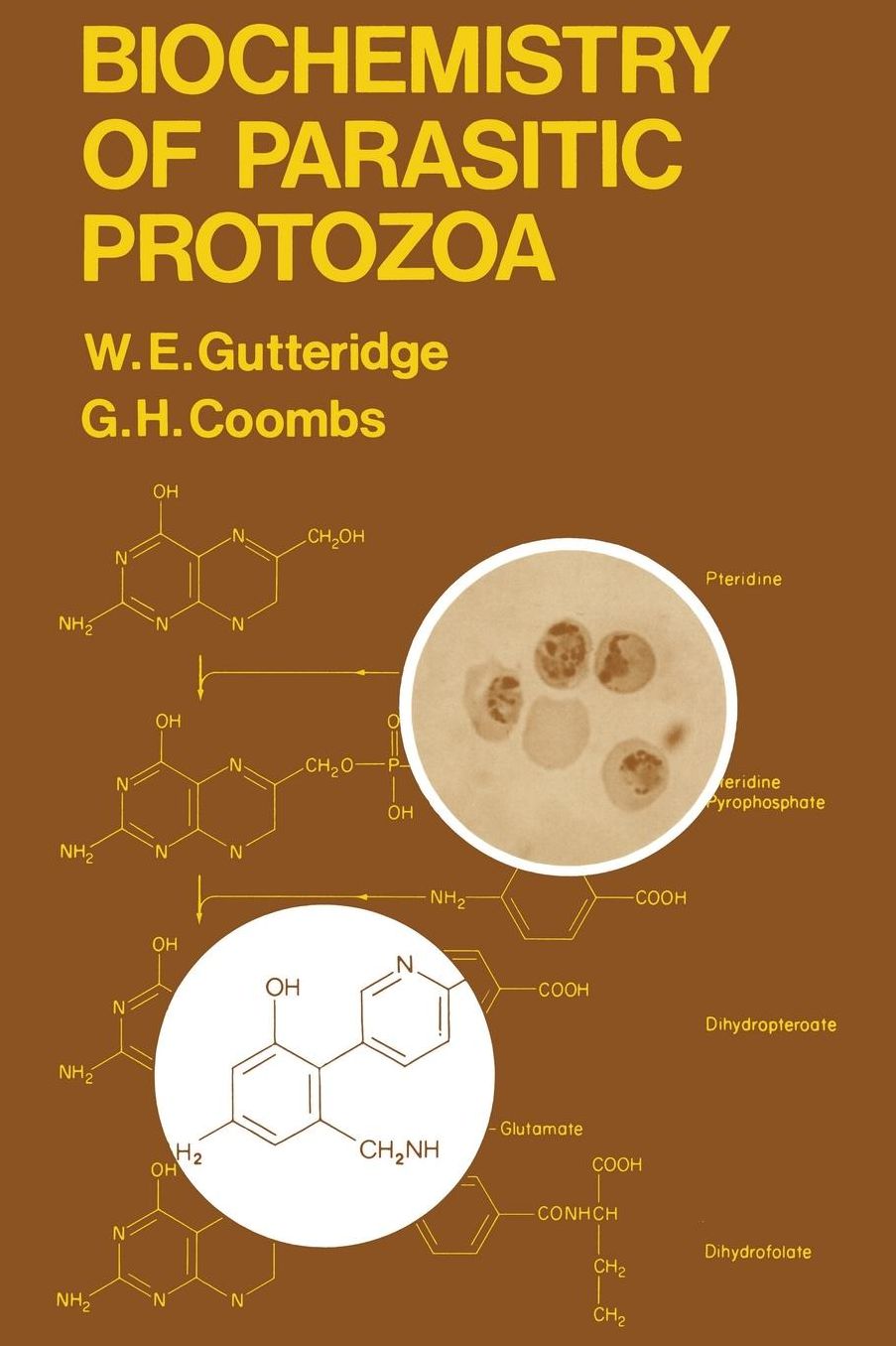 Biochemistry of Parasitic Protozoa