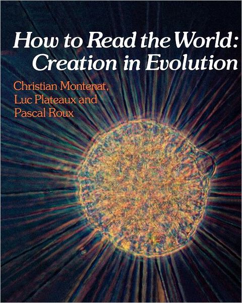 How To Read The World