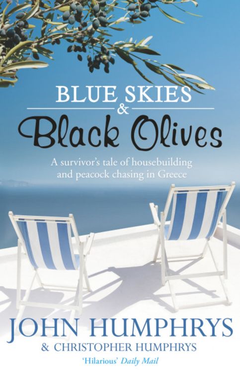 Blue Skies and Black Olives