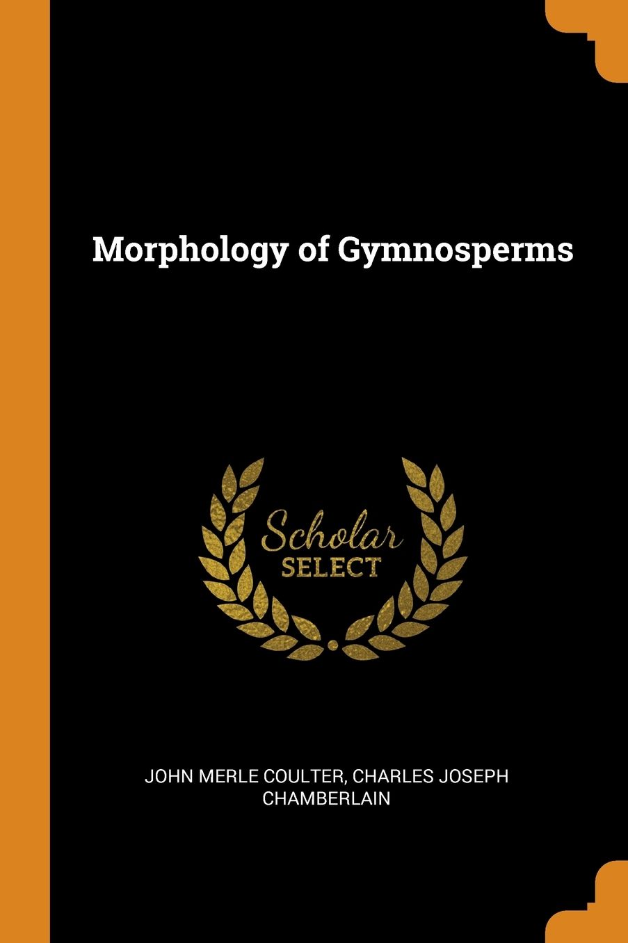 Morphology of Gymnosperms