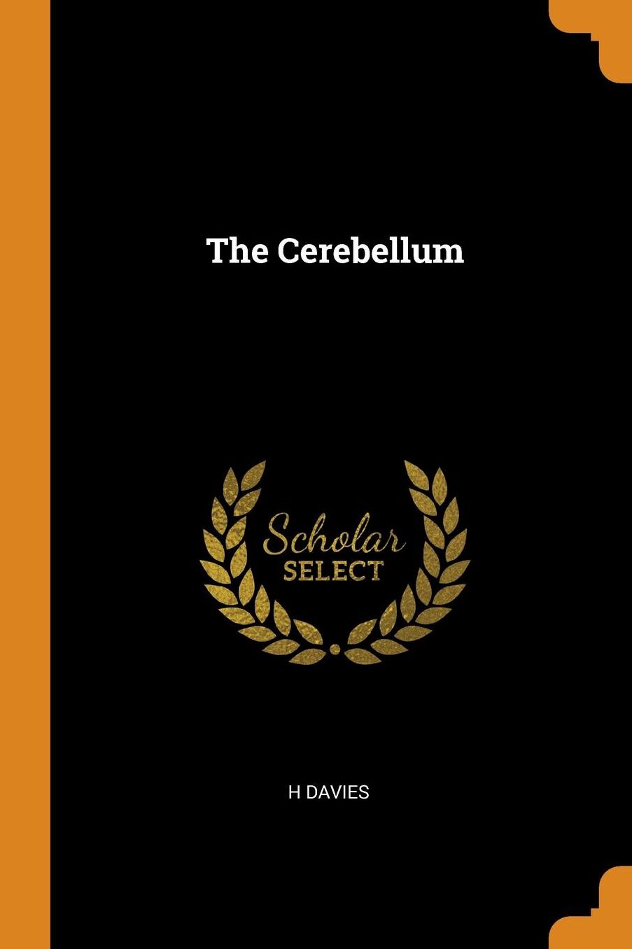 The Cerebellum