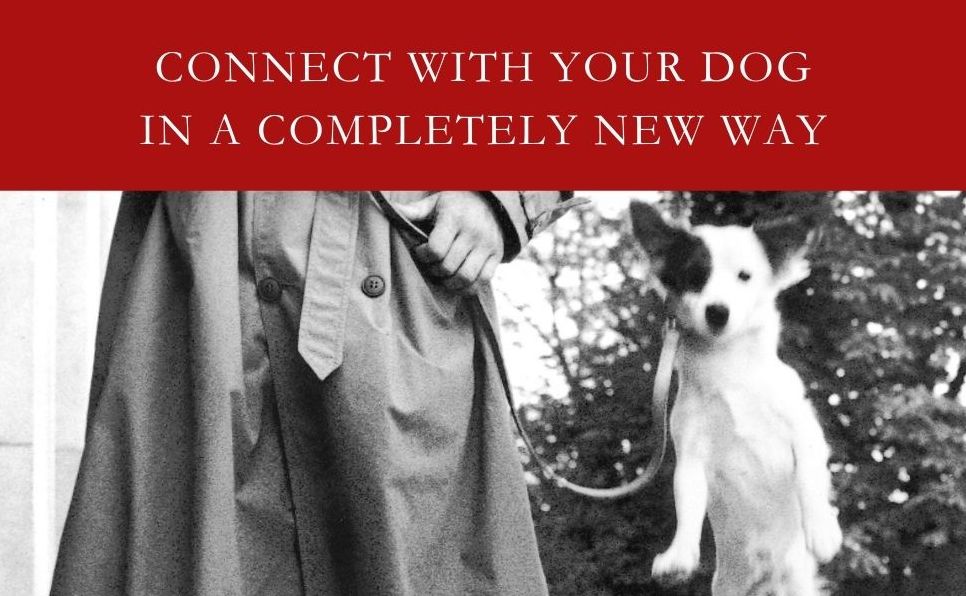 The Other End of the Leash: Why We Do What We Do Around Dogs