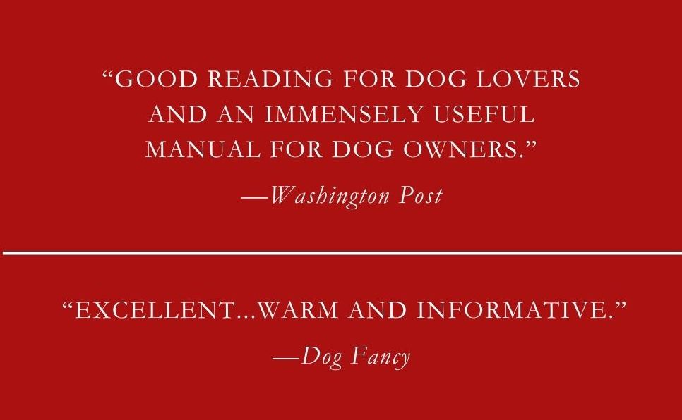 The Other End of the Leash: Why We Do What We Do Around Dogs