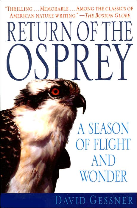 Return of the Osprey: A Season of Flight and Wonder