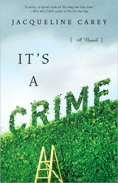 It's a Crime