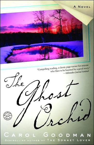 The Ghost Orchid