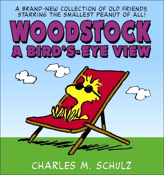 Woodstock, A Bird's-Eye View