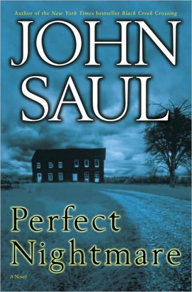 Perfect Nightmare: A Novel