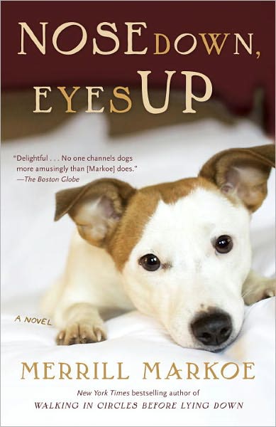 Nose Down, Eyes Up: A Novel