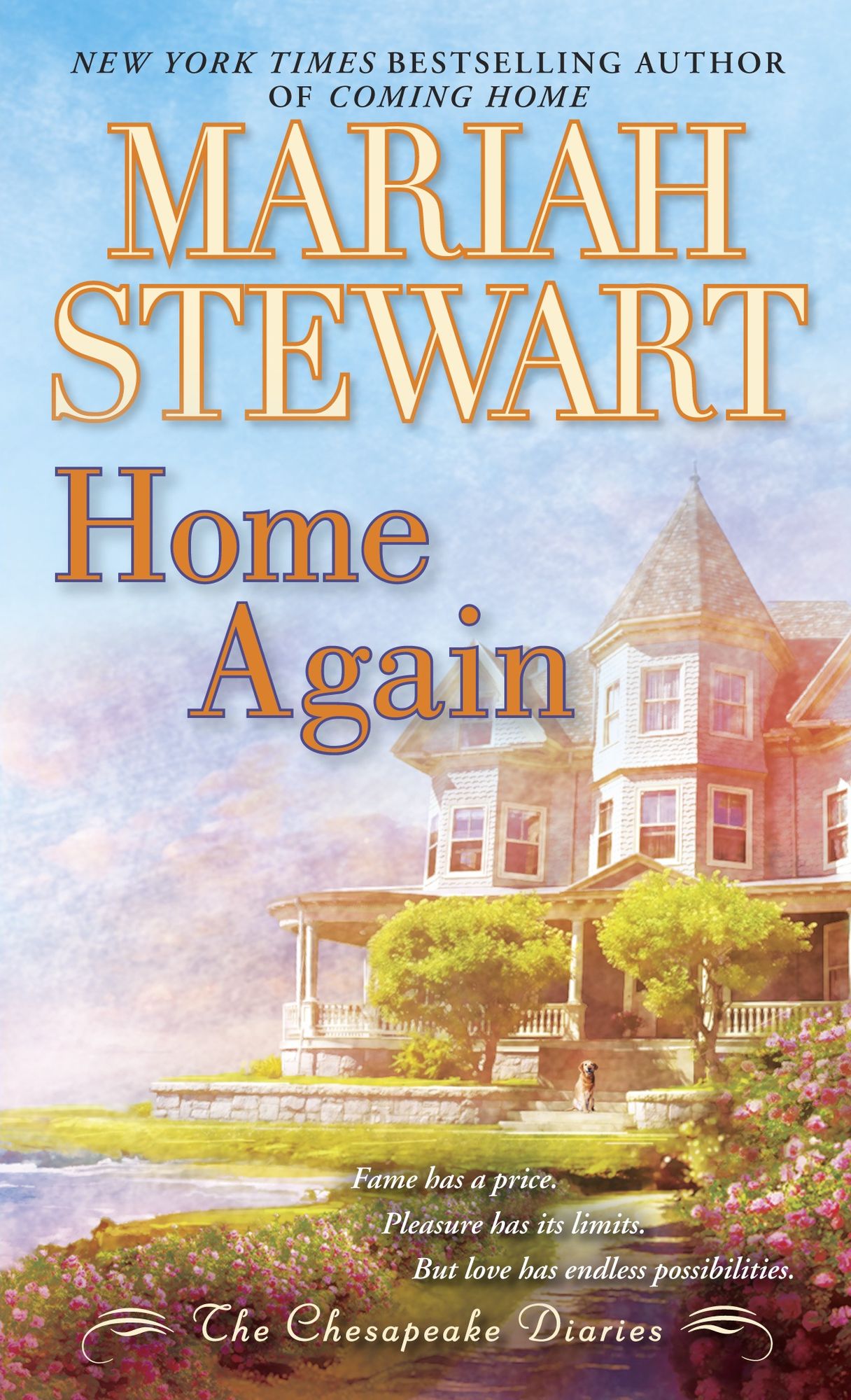 Home Again (Chesapeake Diaries Series #2)