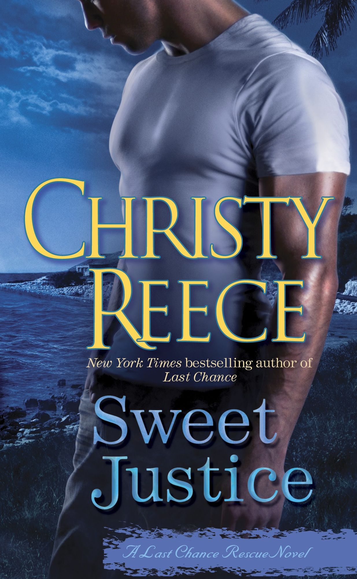 Sweet Justice (Last Chance Rescue Series #7)