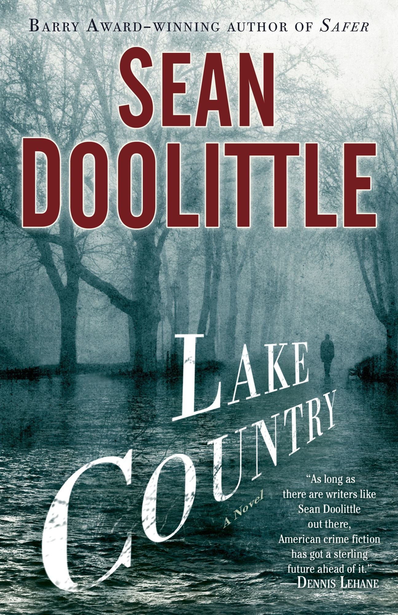 Lake Country: A Novel