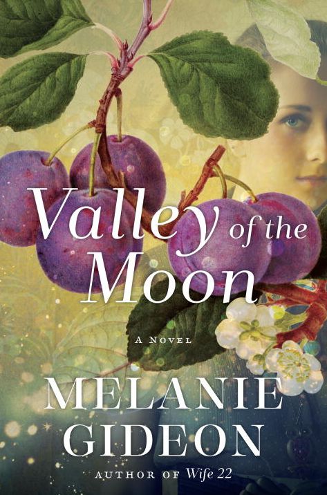 Valley of the Moon