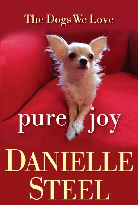 Pure Joy: The Dogs We Love