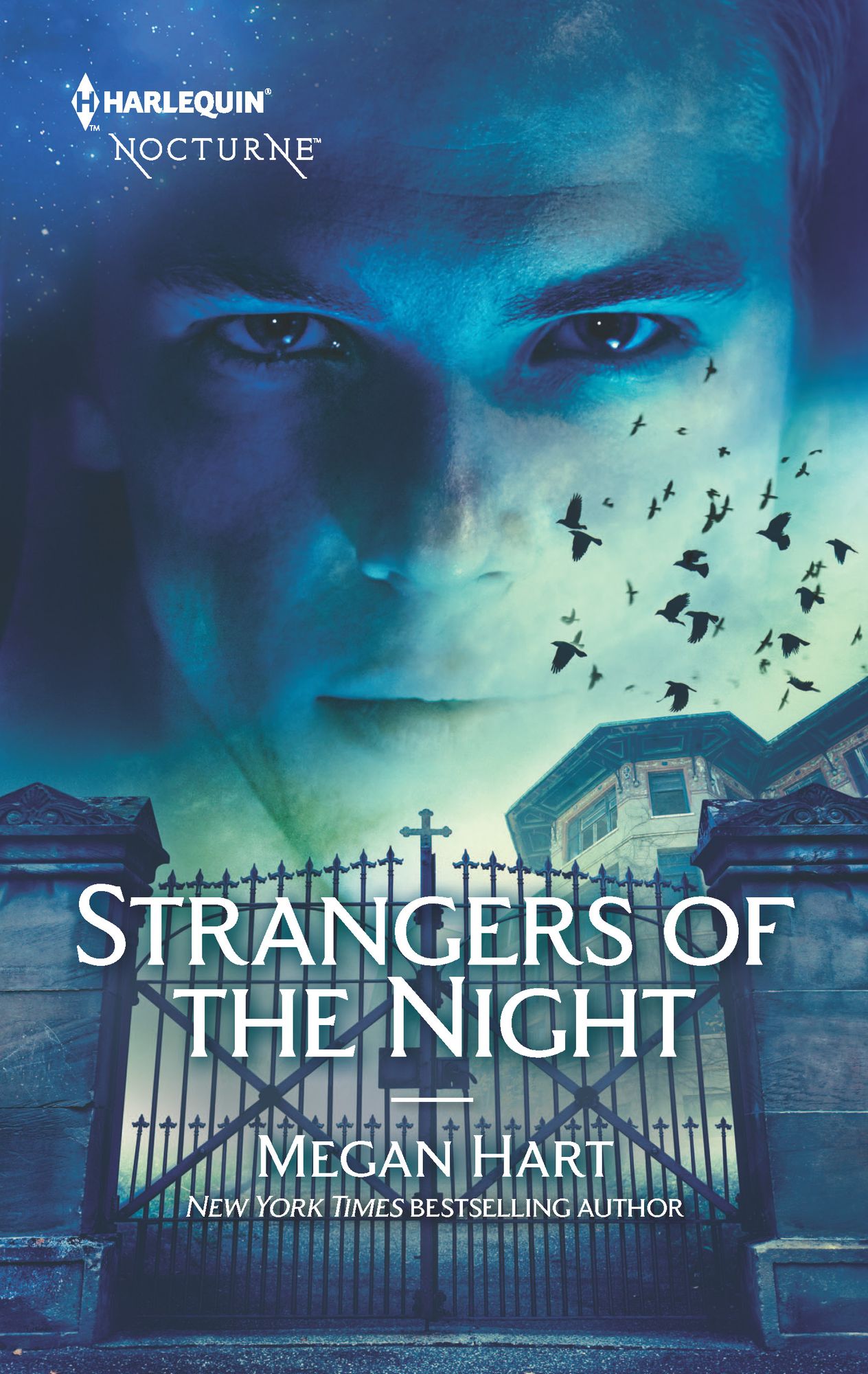 Strangers of the Night: Touched by PassionPassion in DisguiseUnexpected Passion