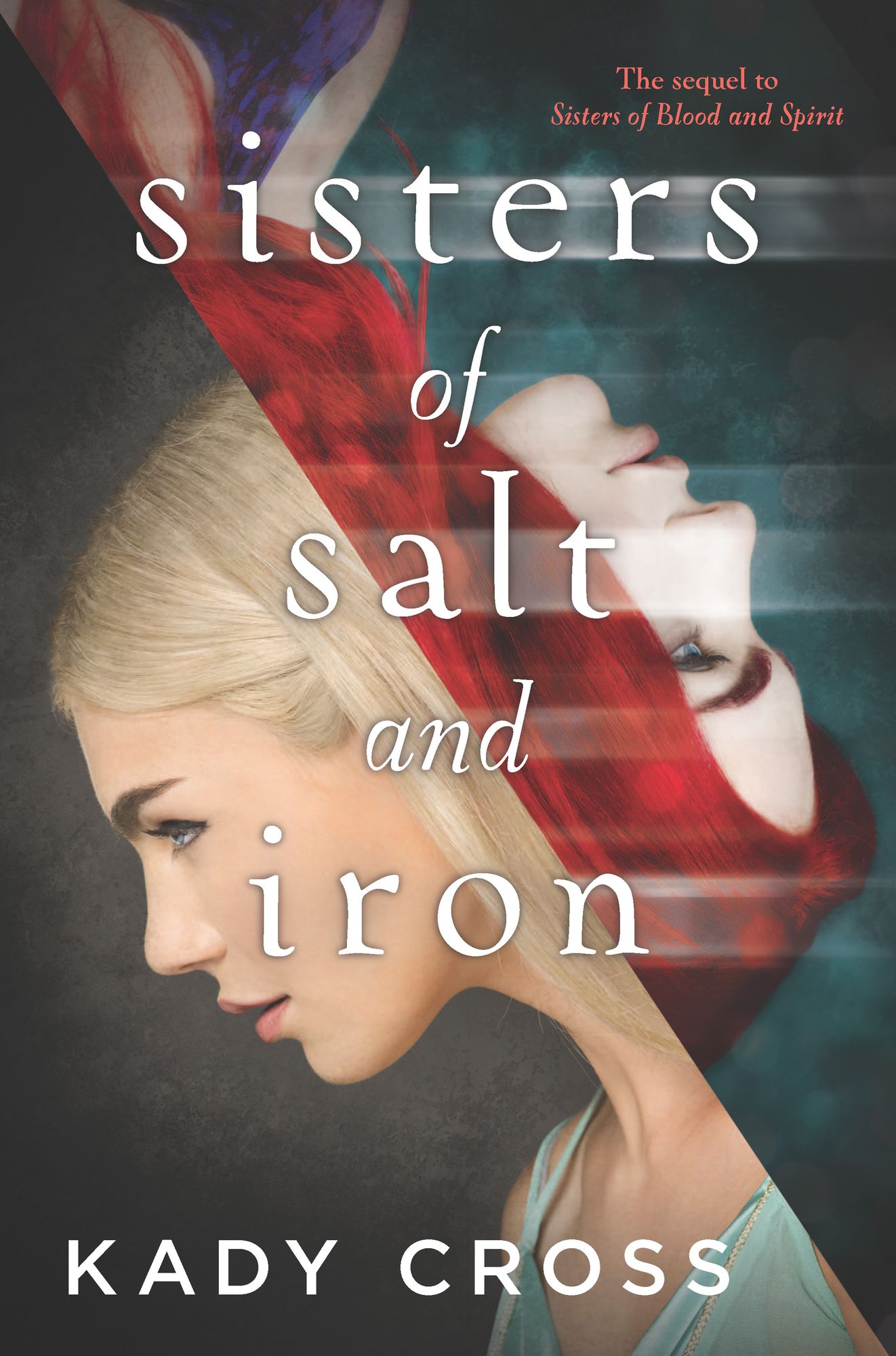 Sisters of Salt and Iron (Sisters of Blood and Spirit Series #2)