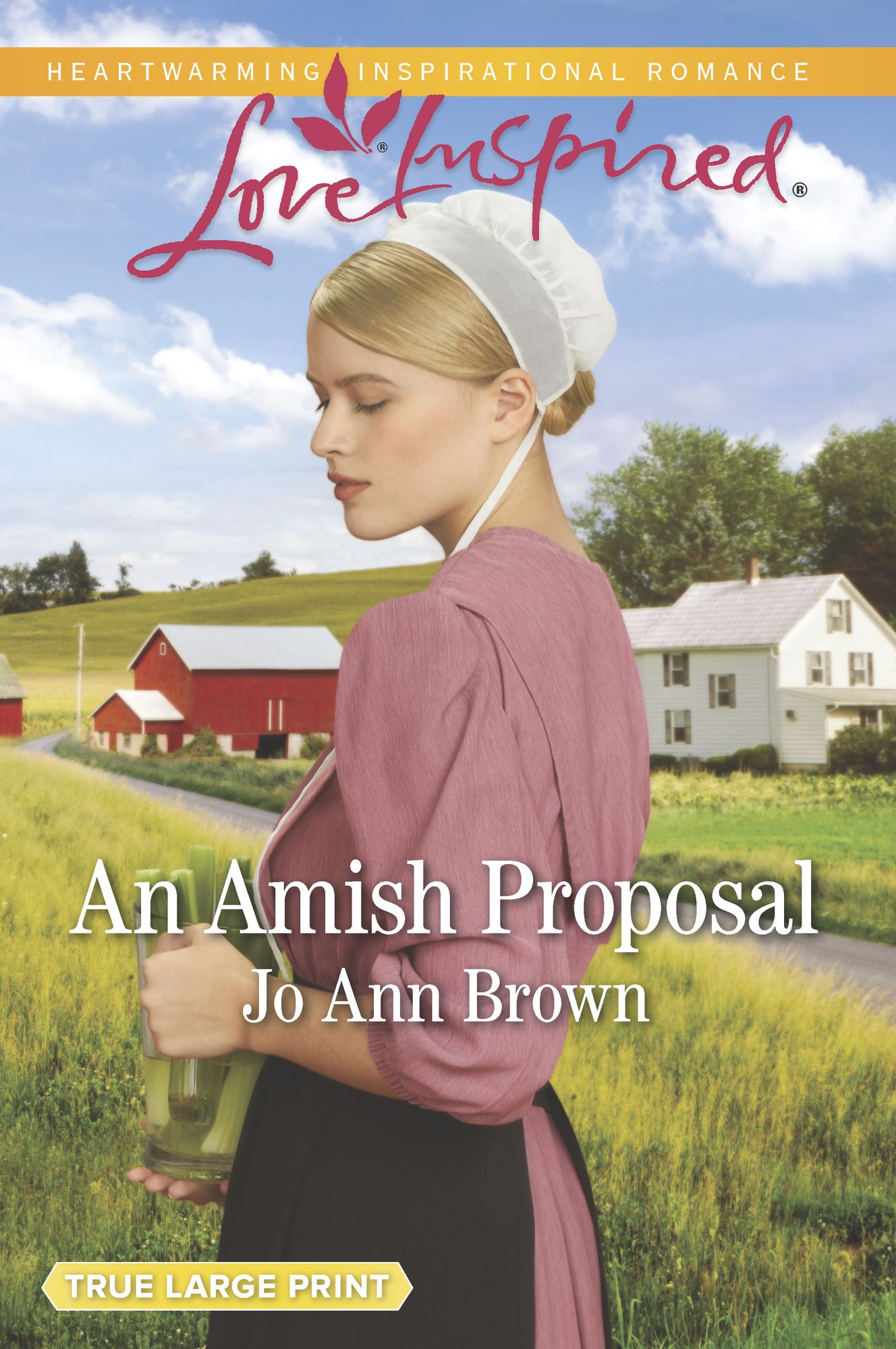 An Amish Proposal