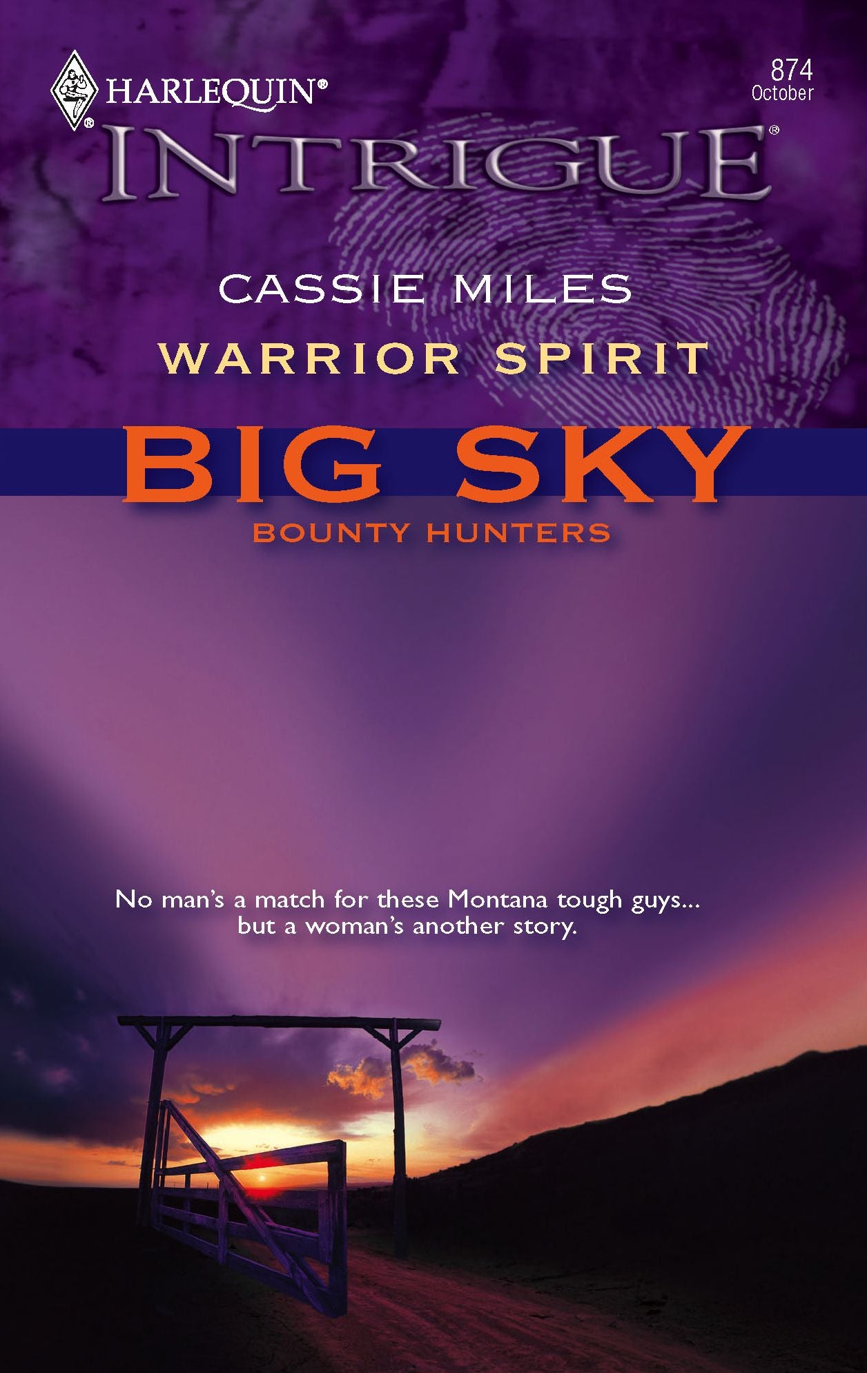 Warrior Spirit (Harlequin Intrigue Series #874)