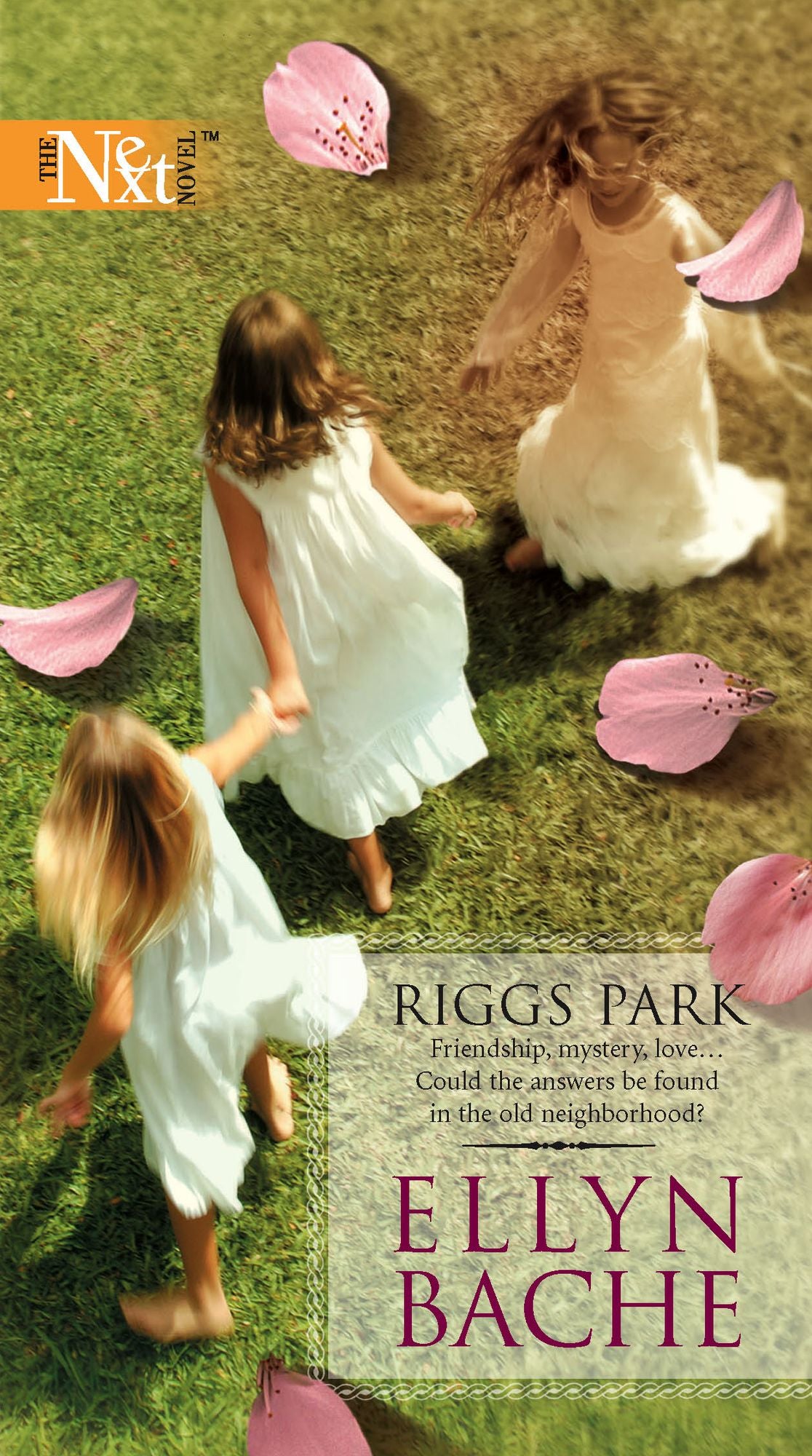 Riggs Park (Harlequin Next #3)