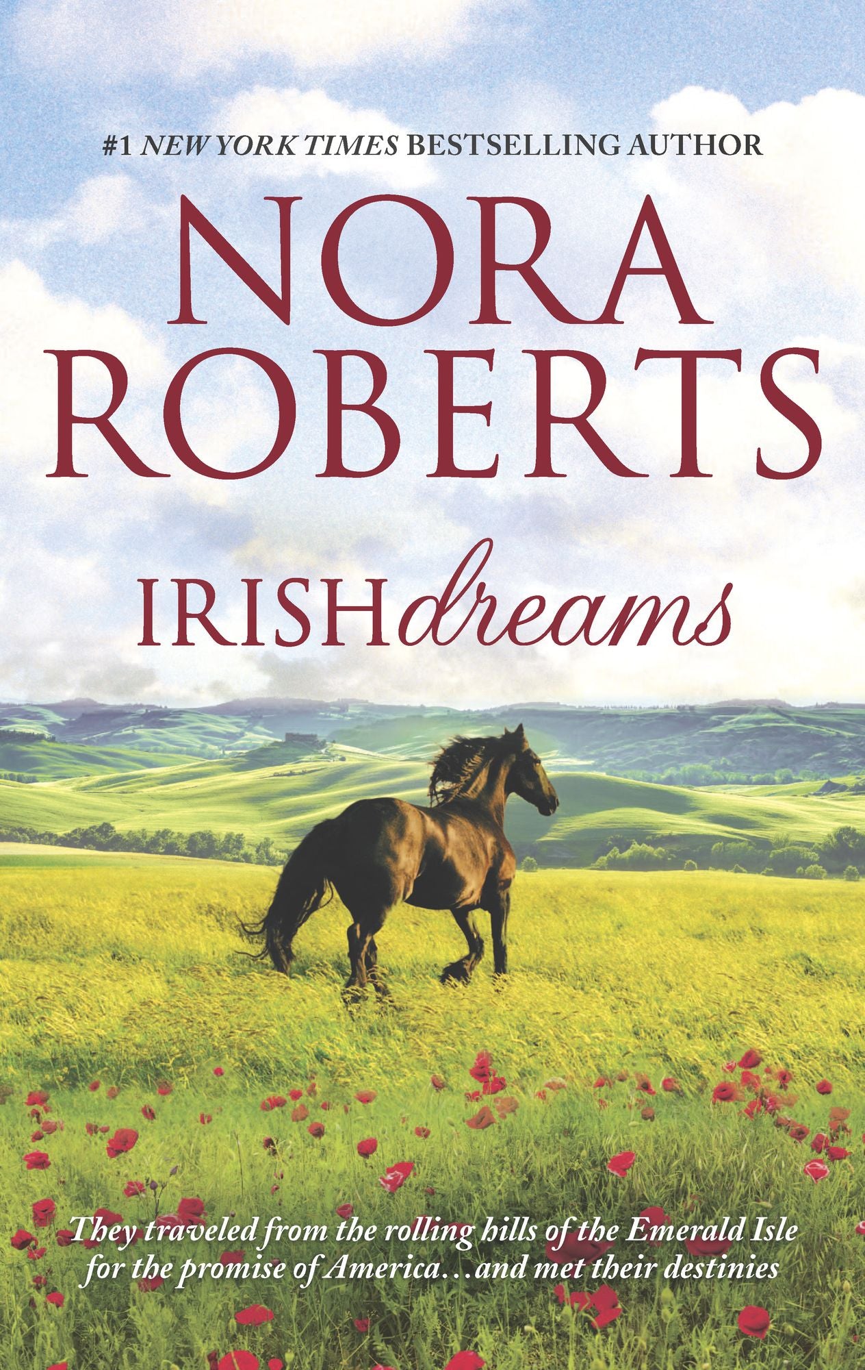 Irish Dreams: Irish RebelSullivan's Woman