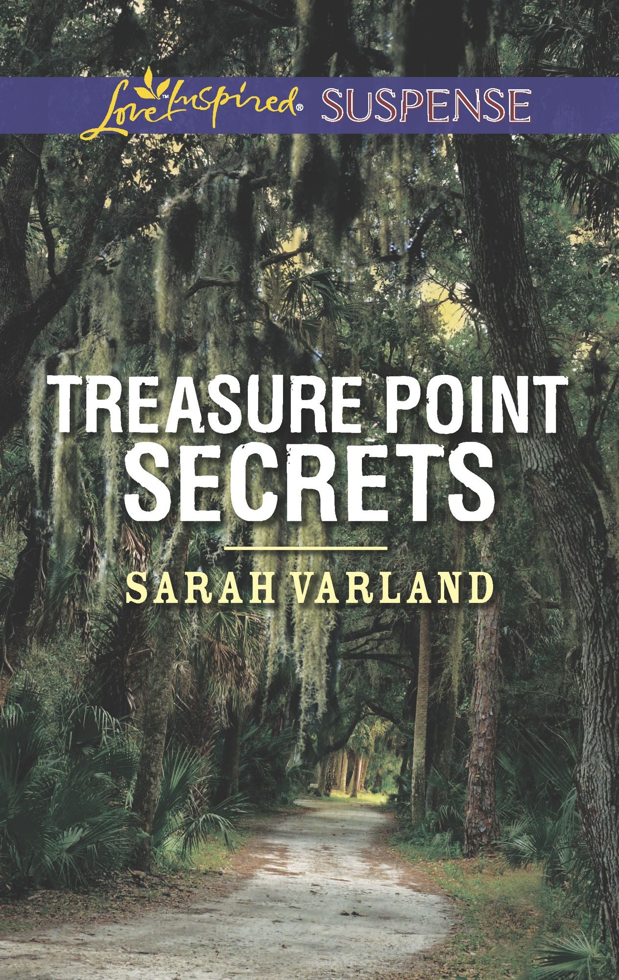 Treasure Point Secrets (Love Inspired Suspense Series)