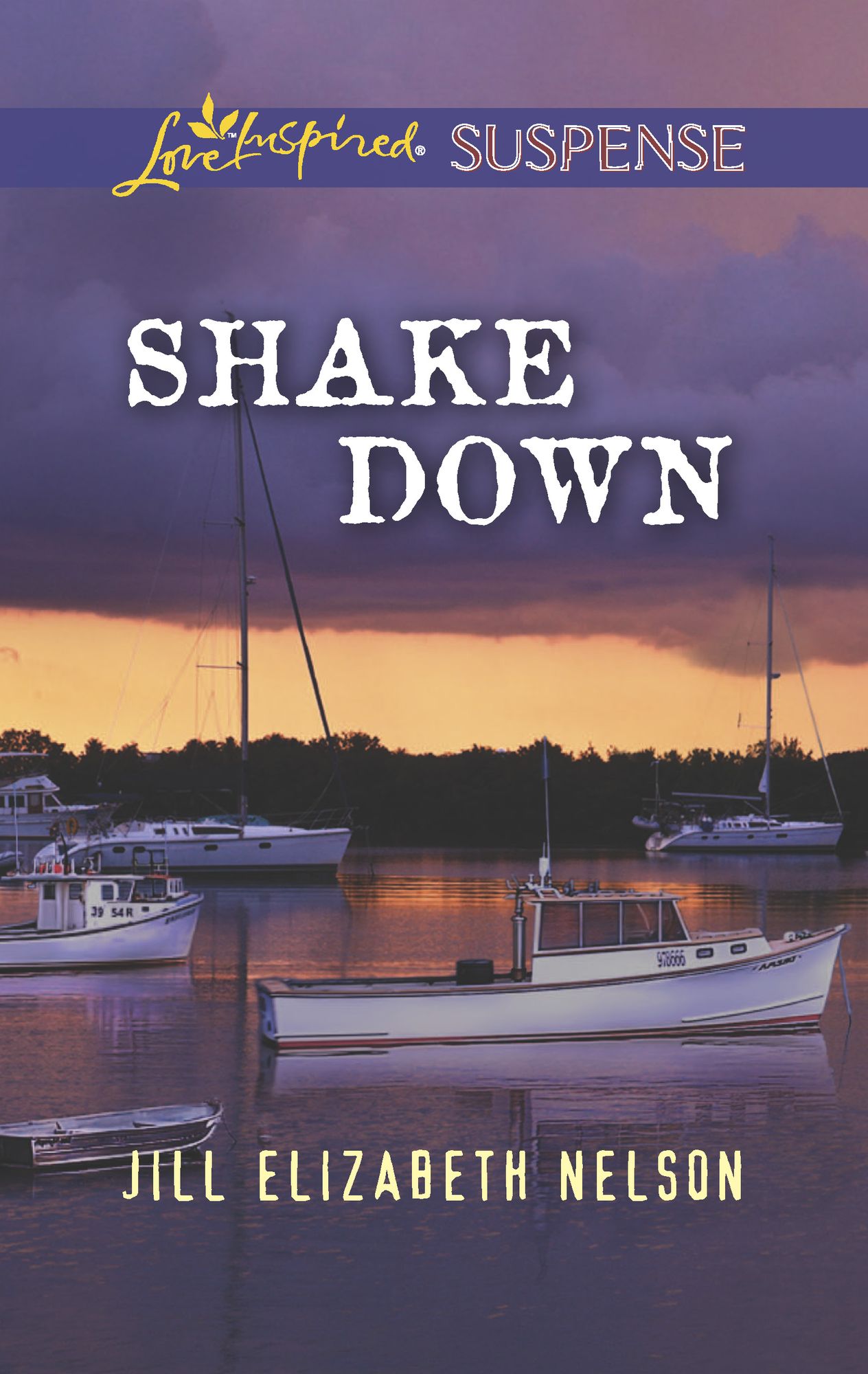Shake Down (Love Inspired Suspense Series)