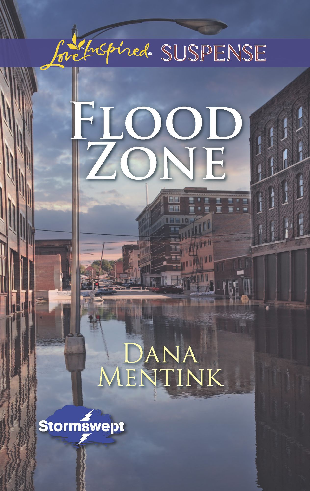 Flood Zone (Love Inspired Suspense Series)