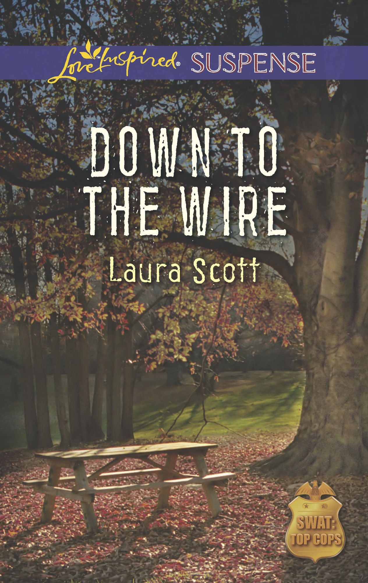 Down to the Wire (Love Inspired Suspense Series)