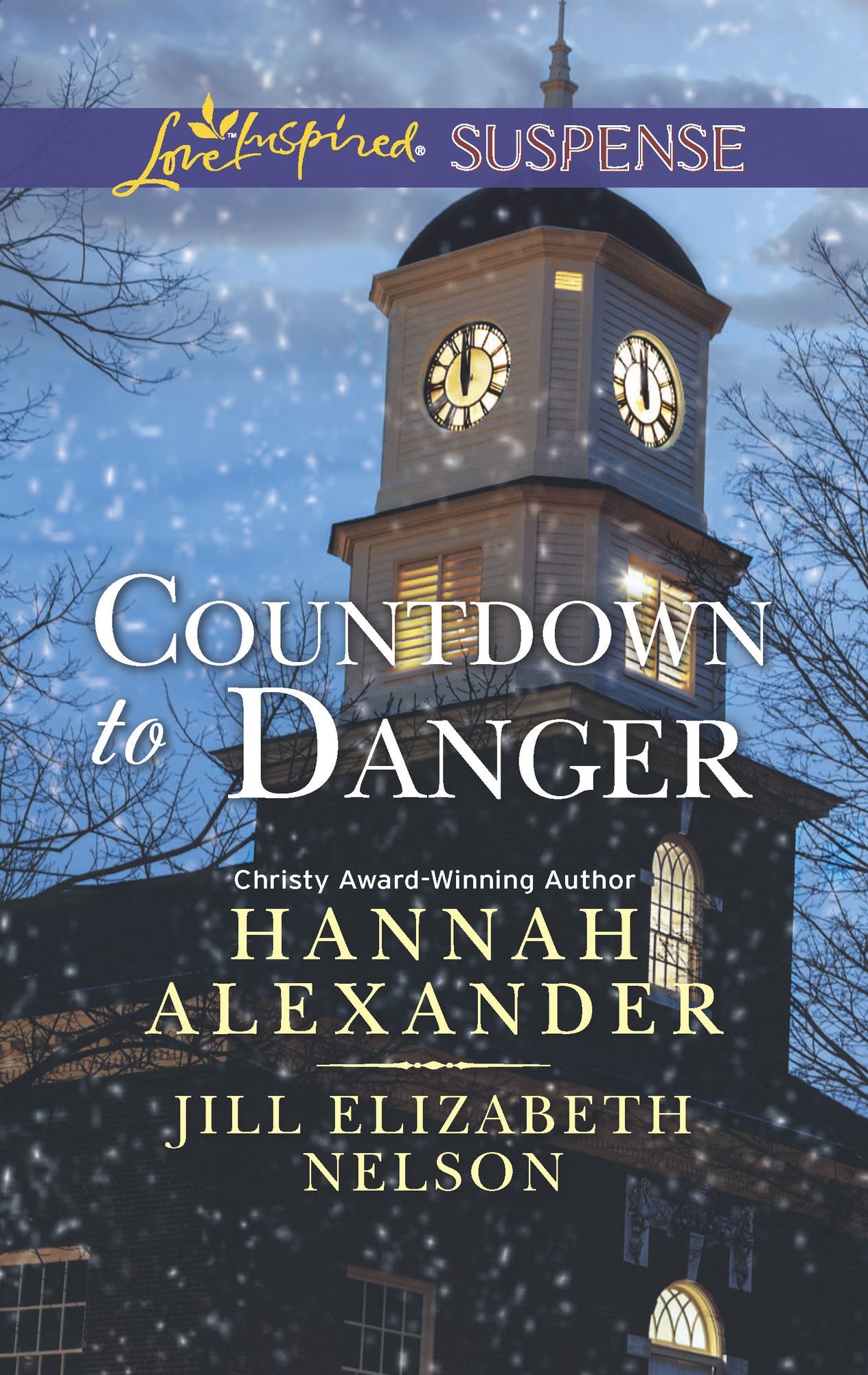 Countdown to Danger: Alive After New YearNew Year's Target (Love Inspired Suspense Series)