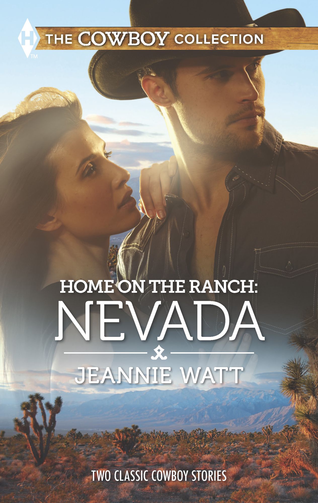 Home on the Ranch: Nevada: The Horseman's SecretThe Brother Returns