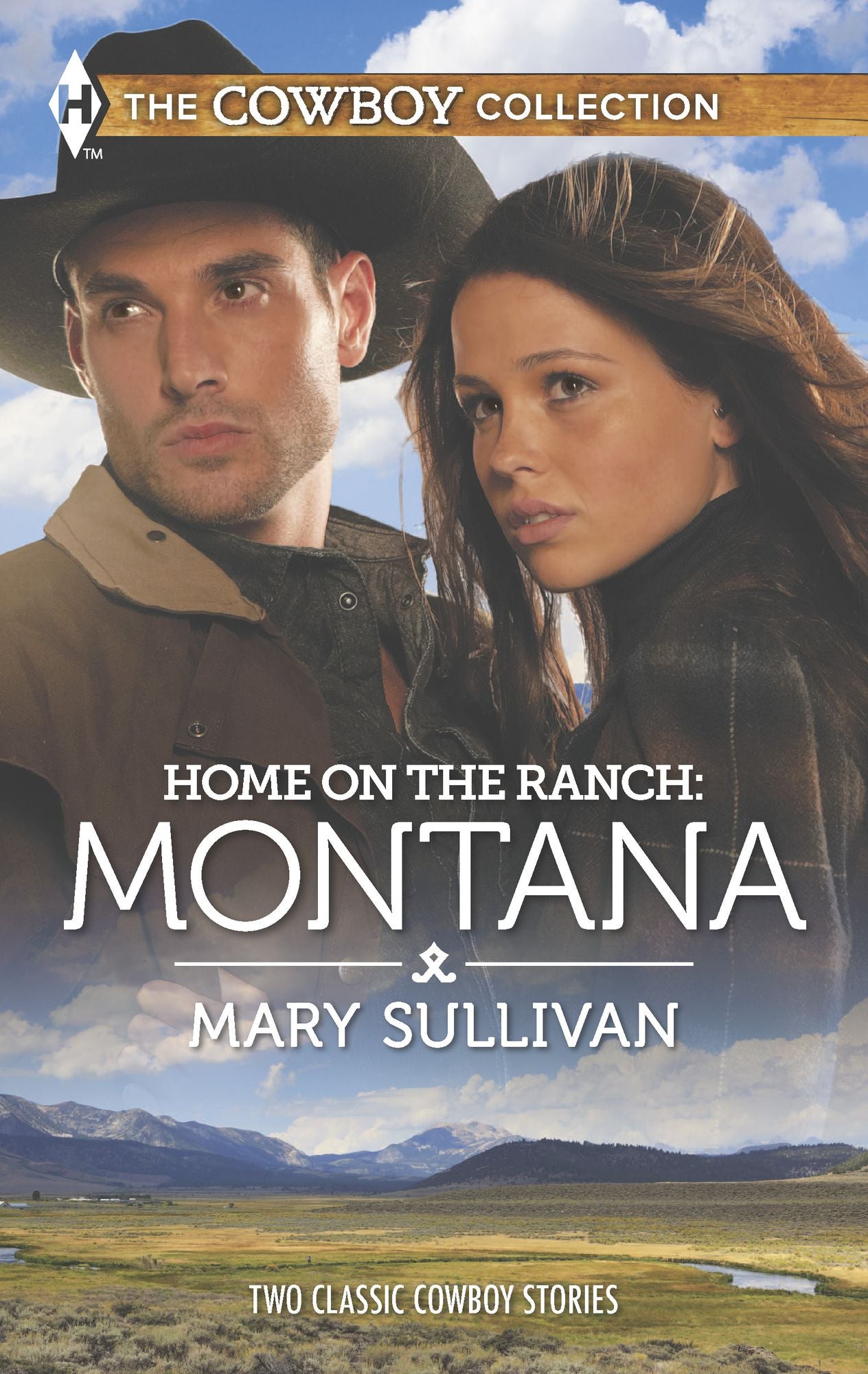 Home on the Ranch: Montana: A Cowboy's PlanThis Cowboy's Son