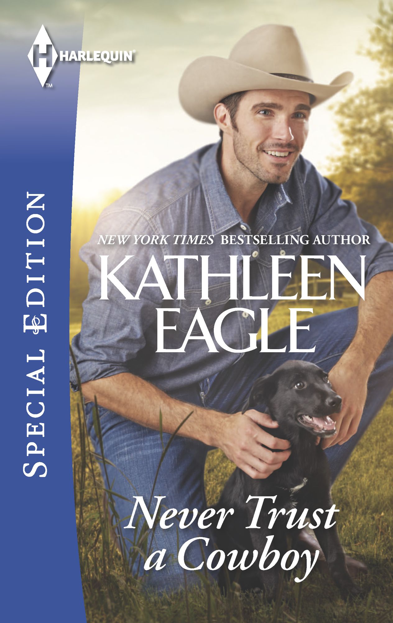 Never Trust a Cowboy (Harlequin Special Edition Series #2377)