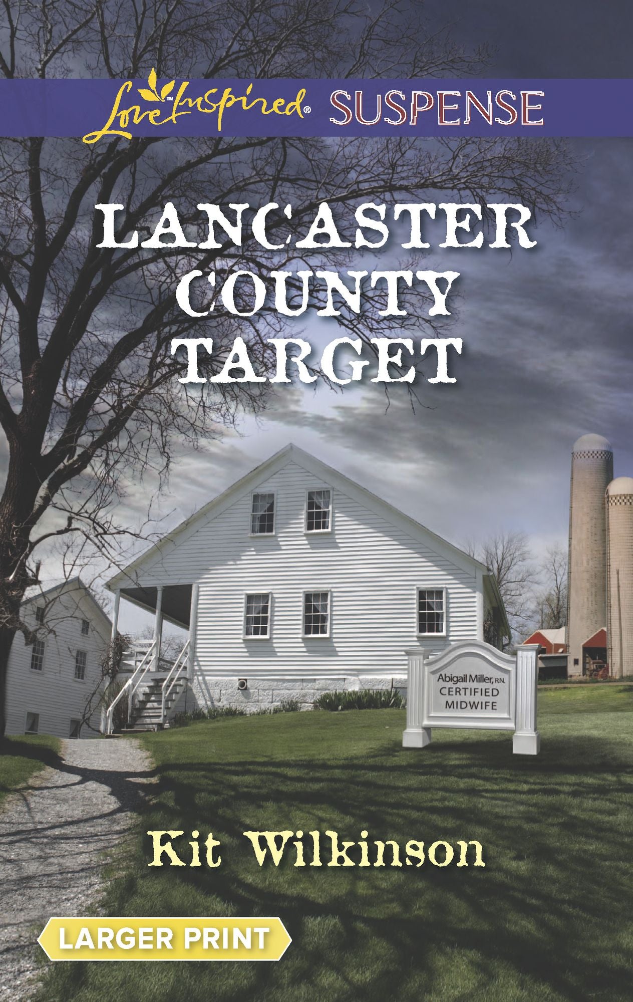 Lancaster County Target (Love Inspired LP Suspense Series)