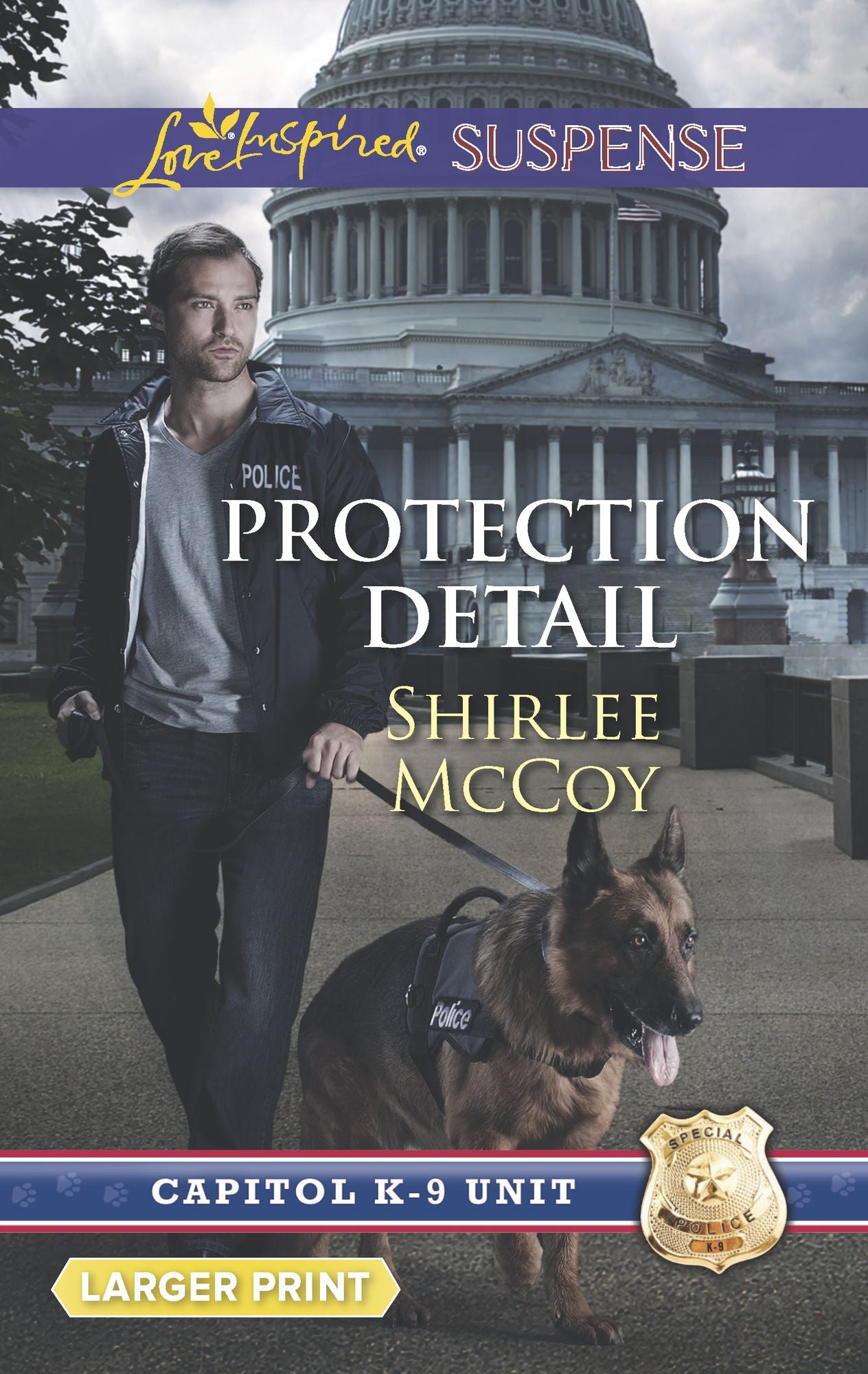 Protection Detail (Love Inspired LP Suspense Series)