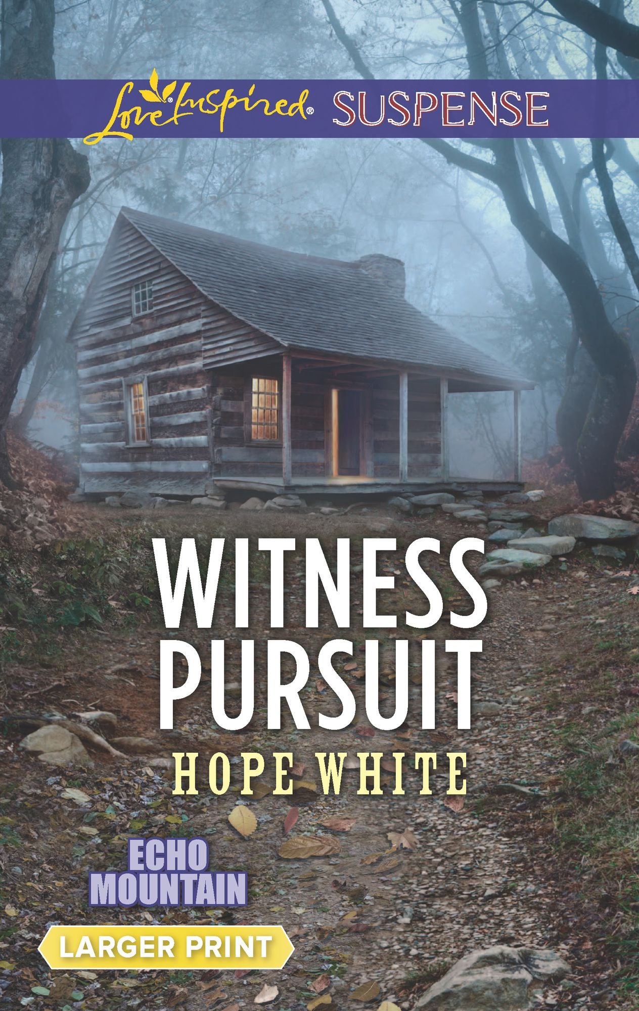 Witness Pursuit