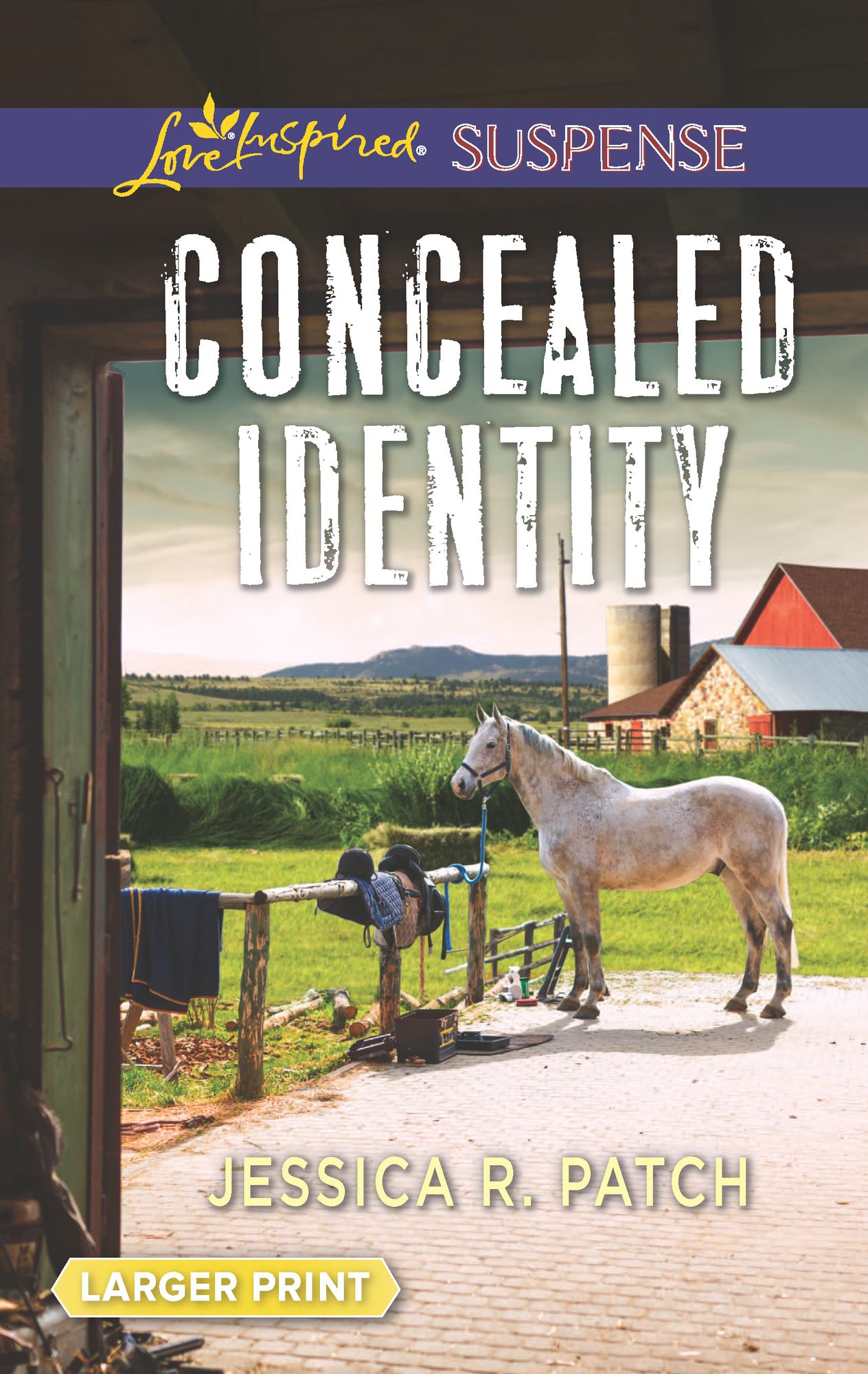 Concealed Identity