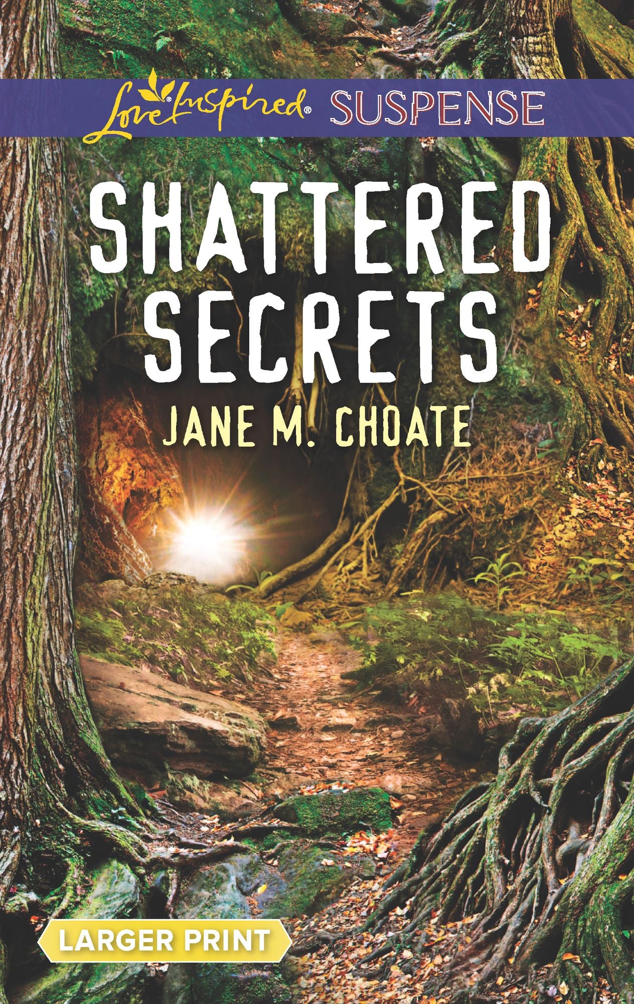 Shattered Secrets