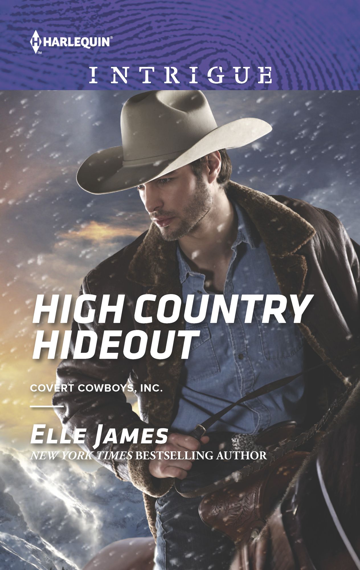 High Country Hideout (Harlequin Intrigue Series #1594)
