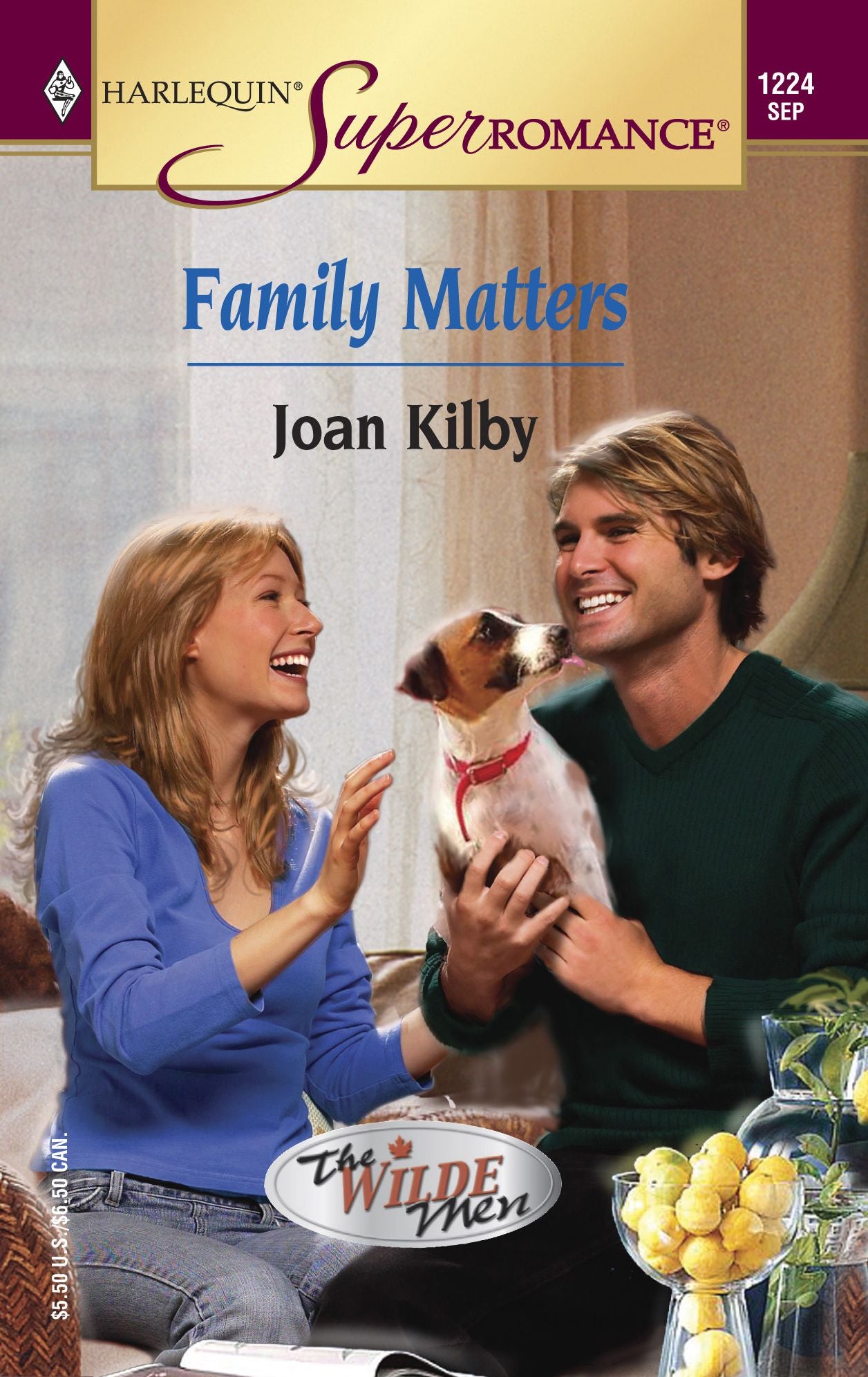 Family Matters (Harlequin Super Romance #1224)